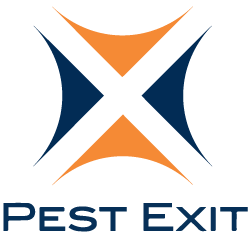 Frequently Asked Questions | Pest Exit | Winchester Pest Control