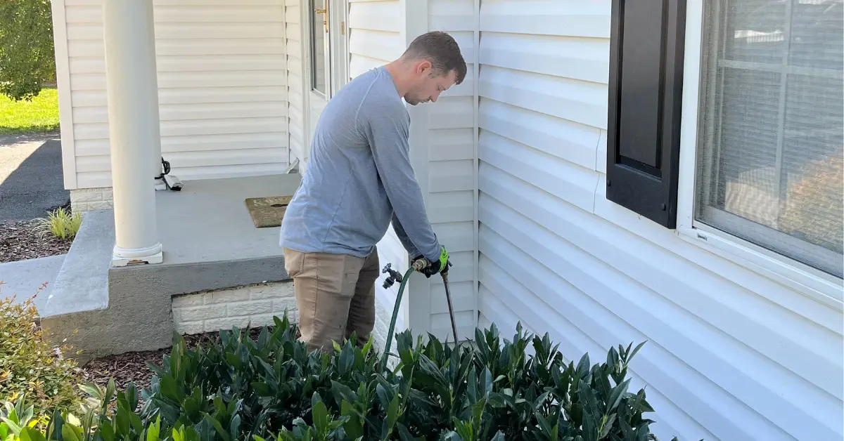 Pest Control in Haymarket, VA | Pest Exit | Haymarket Pest Control